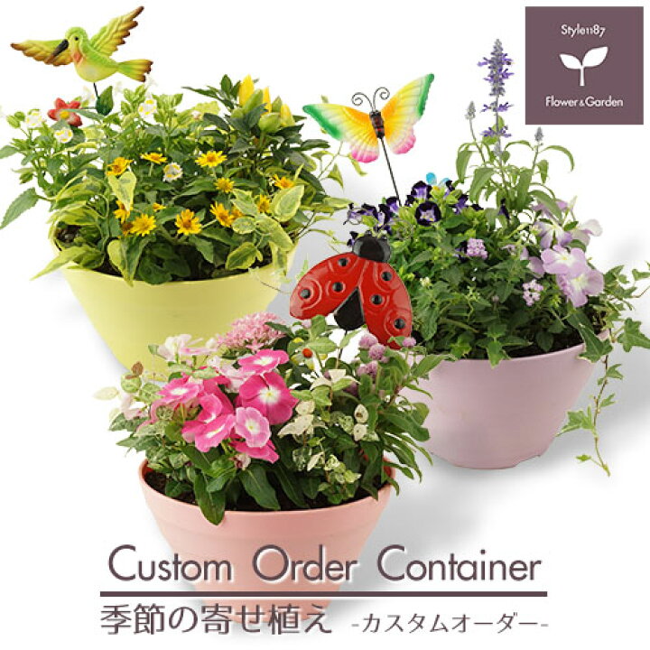 楽天市場 季節の寄せ植え 夏 ギフトに最適 カスタムオーダーできるボールプランター鉢 送料無料 沖縄 離島を除く Style1187 楽天市場 季節の寄せ植え 夏 ギフトに最適 カスタムオーダーできるボールプランター鉢 送料無料 沖縄 離島を除く Style1187