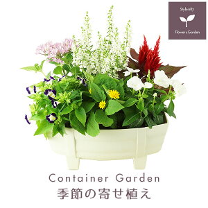 花 寄せ植え 春の人気商品 通販 価格比較 価格 Com