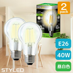 y2ZbgE1469~z STYLED(X^Ch) LEDd E26 40WE485[ES^CvEF tBg NAd ʓd` VfA g HDAC40N1