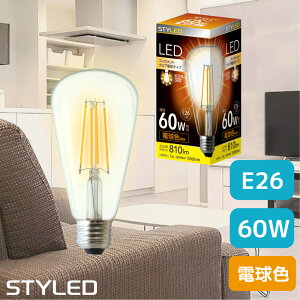 yj̃AEgbgizSTYLED(X^Ch) LEDd E26 60WE810[ES^CvEdF tBg NAd^Cv ST64` VfA g HDFC60L1