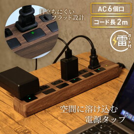 【ランキング上位入賞・18ヶ月保証】STYLED 独立フラットスイッチ 電源タップ コンセント×6口 電源コード2m 18ヵ月保証 雷ガード シャッター付コンセント スイングプラグ OAタップ 延長コード ダークブラウン PTP6DB-2