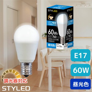 yFEE17E60WEΉzLEDd ~jNvg Lz^Cv 760lm ȃGl X|bgCg@_ECg rO STYLED