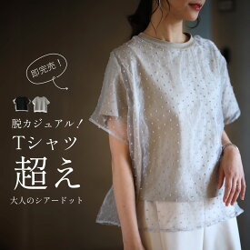 Tシャツ ドット シアー レイヤードトップス レイヤード ブラック グレージュ black beige 黒 肌 上品 水玉 ドットシアーレイヤードトップス 春 夏 秋 おしゃれ オシャレ チュール フリーサイズ レディース ファッション Ehre style エーレスタイル【F250601】【S260719】