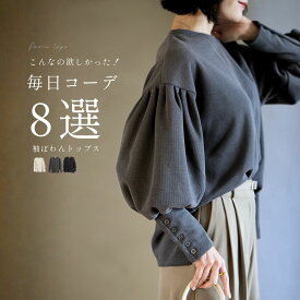 トップス ぽわん 長袖 ペプラム 立体 袖ぽわん フェミニン ブラウス ブラック アイボリー グレー 黒 白 灰 フリーサイズ レディース Ehre style スタイル エーレスタイル Ehrestyle【S260501】