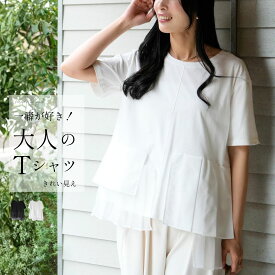 トップス Tシャツ 半袖 無地 デイリー 仕事 異素材 オーガンジー 切り替え ブラック ホワイト 黒 白 Black White 丸首 春夏 フリーサイズ レディース ファッション Ehre style スタイル エーレスタイル【F260501】【S260705】