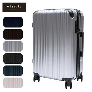 New CY[ wise:ly X[cP[X uh y oփLX^[ Xgbp[@\t TSAbN 52~58L g^(ʏ^Cv)
