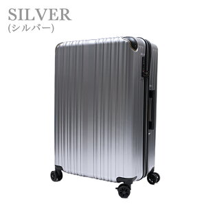 New CY[ wise:ly X[cP[X uh y oփLX^[ Xgbp[@\t TSAbN 92`100L g^@(ʏ^Cv)