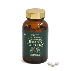 STYLE JAPAN X^CWp@Y tRC_EX@270