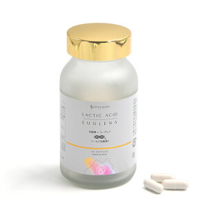 STYLE JAPAN X^CWp@Y _ۃ[Oi