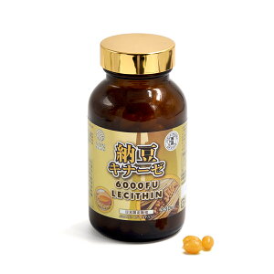 STYLE JAPAN X^CWp@[Li[[6000FU+V`