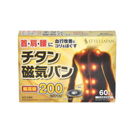 STYLE JAPAN スタイルジャパン　磁気シート 60枚入り