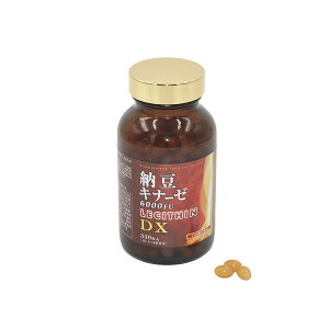 STYLE JAPAN X^CWp@ [Li[[6000FU+V`DX