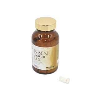 STYLE JAPAN �X�^�C���W���p���@���Y NMN36000 DX