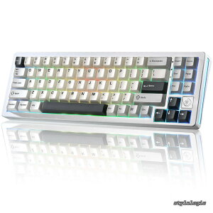 �y���������zAL71 ���J�j�J���L�[�{�[�h 68% �R���p�N�g �t���A���~CNC���H �K�X�P�b�g�\�� [Bluetooth/2.4G/USB-C �O���[�h�ڑ�] �z�b�g�X���b�v�Ή� NKRO RGB�o�b�N���C�g Win/Mac���Ή� �Z�K�F�؍ς� 