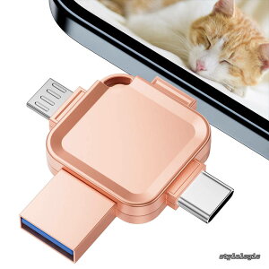 �y���������z256G iPhone �o�b�N�A�b�v4 in 1�A�v���s�viPhone USB������ �f�[�^iPad USB�������ۑ��p �ʐ^�O���X�g���[�W �K��iOS/iPad/PC/Android/�^�u���b�g/PC