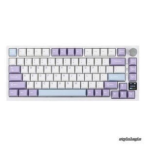 �y���������zAjazz AK820 Pro �Q�[�~���O�L�[�{�[�h 75% �K�X�P�b�g���� ���J�j�J���L�[�{�[�h TFT�X�N���[�� 3���[�h(Bluetooth 5.1/2.4G���C�����X&Type-C�L��) �����t�H�[������ (White Purple - OEM Profile Aja