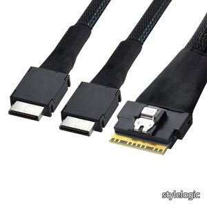 �y���������zPCI-E �E���g���|�[�g �X�������C�� SAS �X���� 4.0 SFF-8654 8i 74pin to Dual Oculink SFF-8611 �P�[�u�� 50cm PCI-Express