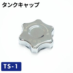 yNlR䂤pPbgőz^NLbv TS-1^K\gъʁEgs p[c K\gs ^N K\