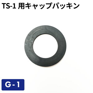 yNlR䂤pPbgőzTS-1pLbvpbL G-1^K\gъʁEgs p[c K\gs ^N K\