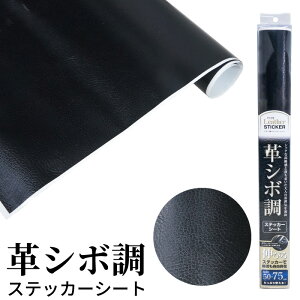 XebJ[V[g Lт U[ ^ vV{ XebJ[ JbeBOV[g J[bsOV[g ubN 50X75cm LT50-75   CeA hXAbv Ȗ R XL[W