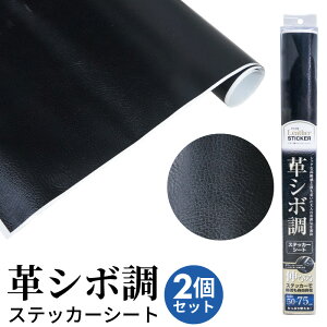 XebJ[V[g Lт U[ ^ vV{ 2Zbg XebJ[ JbeBOV[g J[bsOV[g ubN 50X75cm LT50-75   CeA hXAbv Ȗ R X