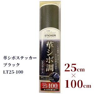 vV{XebJ[ ubN ԓ̃CeA ͗lւ XebJ[V[g VbN  U[  lۂ LтXebJ[ Ȗʂɂ R 25×100cm LT25-100 hXAbv XL[