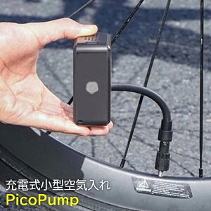 yꏜzd^C PicoPump sR|v ubN Ď p  {[  ]  ^C C [d |[^u RpNg ̂ЂTCY C