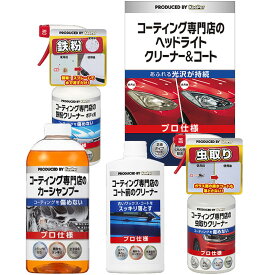 【送料無料※沖縄除く】KeePer コーティング専門店のカーシャンプー コート前クリーナー ヘッドライトクリーナー 虫取りクリーナー 鉄粉クリーナー 5点セット 全塗装色対応 洗車