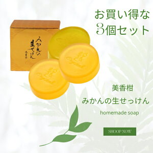 EGL UYEKI@@݂̐@Ō`@90g@Y Mtg v[g Ε