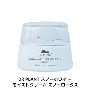 DRPLANT Xm[zCg CXg N[ Xm[[^X   V~ ΂ c ێ  iCAVA~h r^~CU