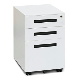 X`[fXNS 3i i A4Ή LX^[t yg[EdؔEt 39cm XCh[ É o [ I[bN ItBX 