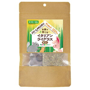 [2Zbg][Ki] C[X^[@}CK[f@q͔|Zbg@I[c / C^AOX / EB[g / o[[