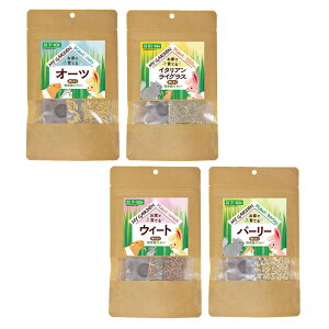 [4Zbg][Ki] C[X^[@}CK[f@q͔|Zbg@I[c / C^AOX / EB[g / o[[