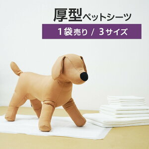 y1ܔ̔z ^@ybgV[c@M[ 100@Ch 50@X[p[Ch 25