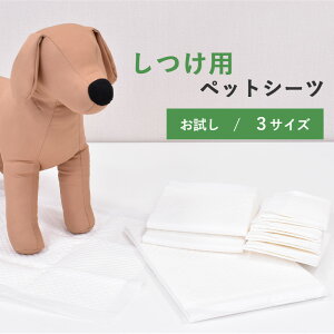 ypz ^@p@ybgV[c@ɂt@M[ 4@Ch 2@X[p[Ch 1