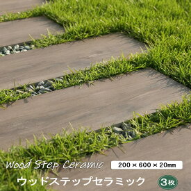 ウッドステップセラミック 枕木 木目 タイル 200×600mm 20mm厚 3本 枕木風 敷石 踏み石 木目調 ステップストーン 庭 タイル 置くだけ diy ガーデニング 外構 屋外 ウッドタイル 見切り石 舗石タイル