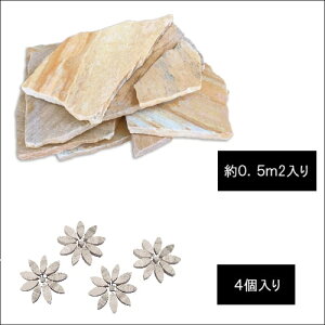 ` ArmCG[ t[~bNX ` & Ԃ̌`̑嗝 t[`[t ΍ 0.5 R `΍ Arm~bNX CG[ VR  fUC 킢 fR[