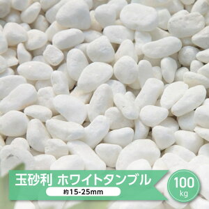 ʍ    嗝 ʐ ʍ  zCg^u 100kg    ʐ  ύ  p ~ ~  K[fjO ~ O\ O  a m 덻