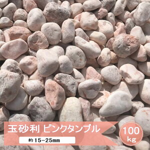 m  sN ʍ  ʐ ~bNX sN^u 100kg   ύ  p VR ̍  K[fjO 嗝 J[  sN ۍ m ~ 