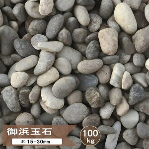 ʍ  a  lʐ 5 100kg   a l ԏ K[fjO ~ p VR ~  ې ۍ 덻 O[ ~bNX    15-30mm 100L