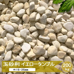 ʍ  F CG[ m CG[^u 200kg   ύ   ʐ K[fjO  ~ ̍ ~ p VR J[  ۂ O\ GNXeA  嗝