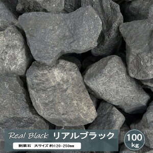  I  bNK[f  AubN 100kg   Ԓd K[fjO ubN K[fbN   I   ΍ 傫 傫  bNK[f S^ }O