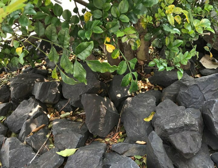 楽天市場】庭石 割栗石 黒 ロックガーデン 石 リアルブラック 200kg 