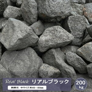  I  bNK[f  AubN 200kg   K[fjO ubN K[fbN   I 傫 傫   bNK[f S^ }O} KrI