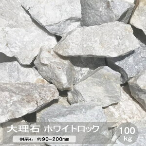  bNK[f  I zCgbN  嗝  100kg    I  zCg m F K[fjO K[f bN  傫 S^ R 傫 hCK[f 