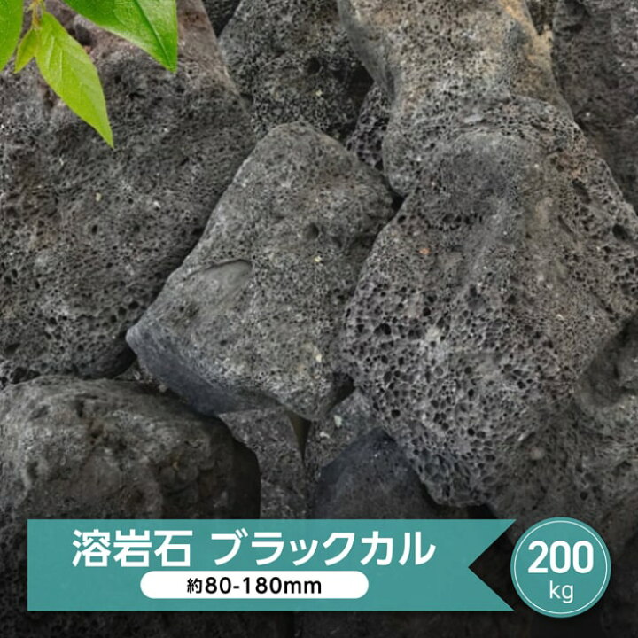 楽天市場】溶岩石 庭石 黒 ブラック ブラックカル 大量 200kg ドライ 