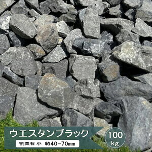 I  O[  bNK[f  EGX^ubN  100kg 40`70mm  K[fbN I 2Ӑ  I   Ӑ 傫 傫 嗱 R O I 100L