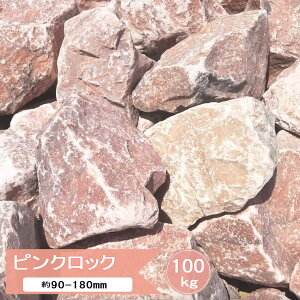  sN I  bNK[f   K[fjO sNbN 100kg  嗝 sNn  I p VR K[f bN  bNK[f̐ u u m 傫