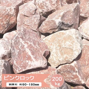  sN I   bNK[f  K[fjO sNbN 200kg  ΍  R 嗝   I 傫  VR Ԓd u 傫  sNn hCK[