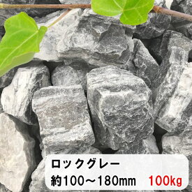 楽天市場 庭石 種類の通販